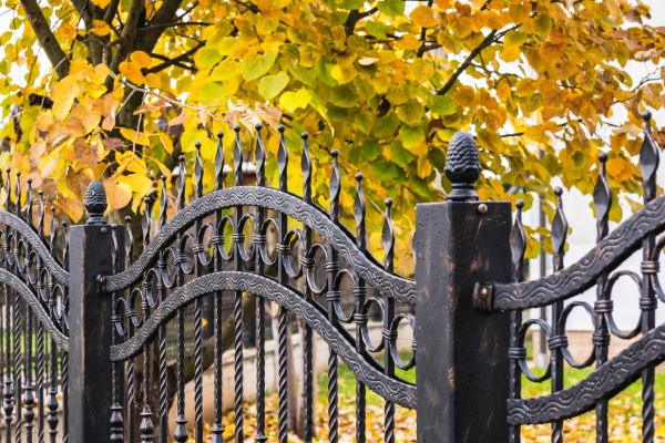Cost of Wrought Iron Fence Washing in Eagle