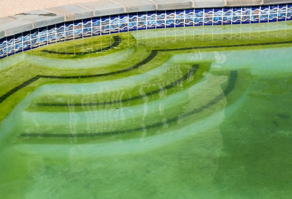 Cost of Pool Deck Algae Removal in Eagle