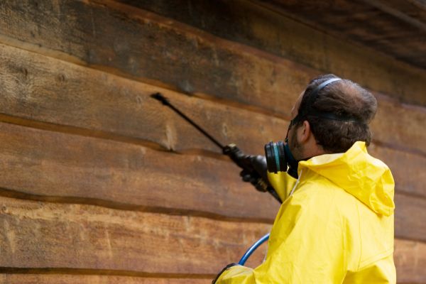 Cedar Siding Washing
