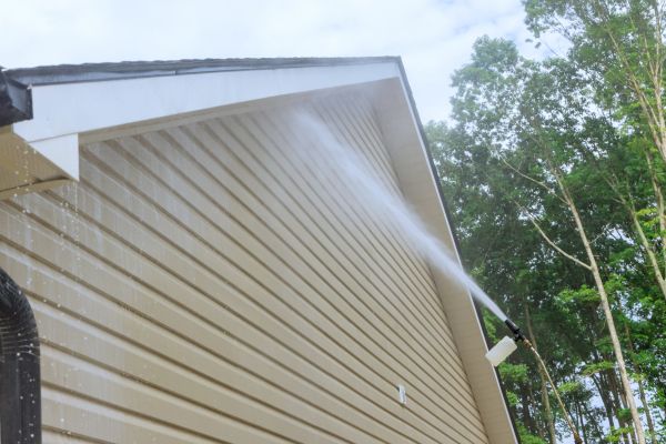 Cost of Siding Cleaning Service in Eagle